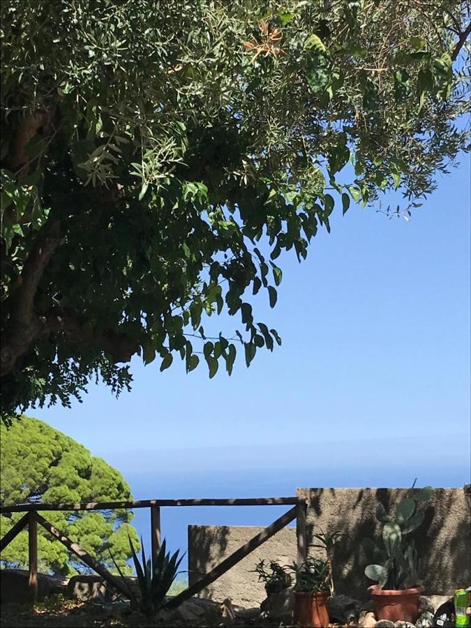 L'Ulivo In Villa Greco Tindari Exterior foto