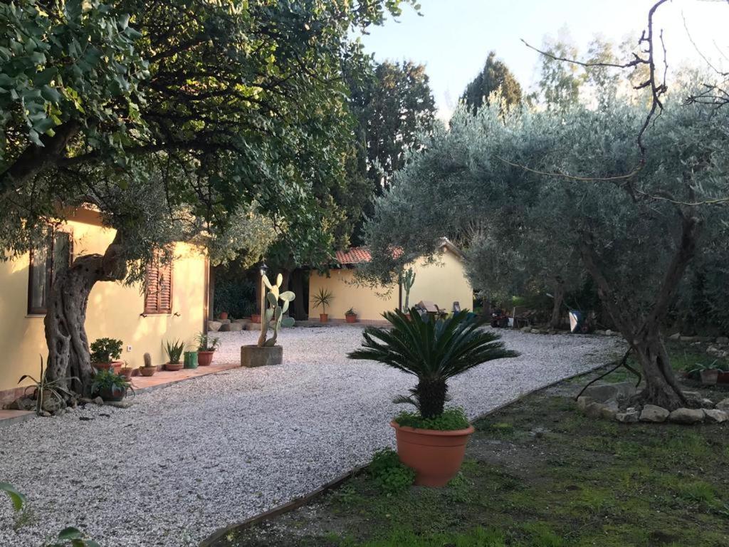 L'Ulivo In Villa Greco Tindari Exterior foto