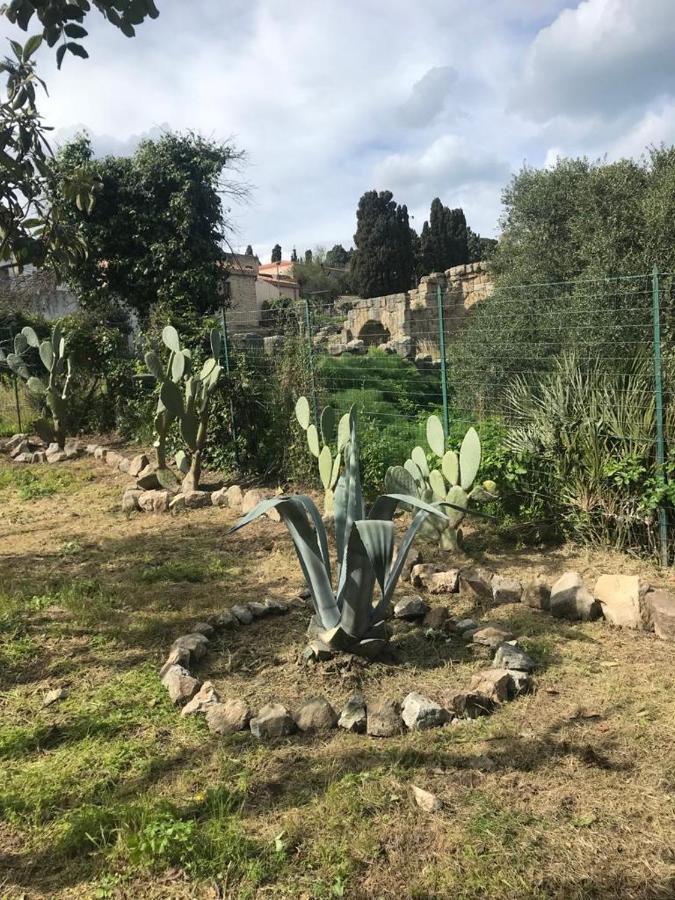 L'Ulivo In Villa Greco Tindari Exterior foto