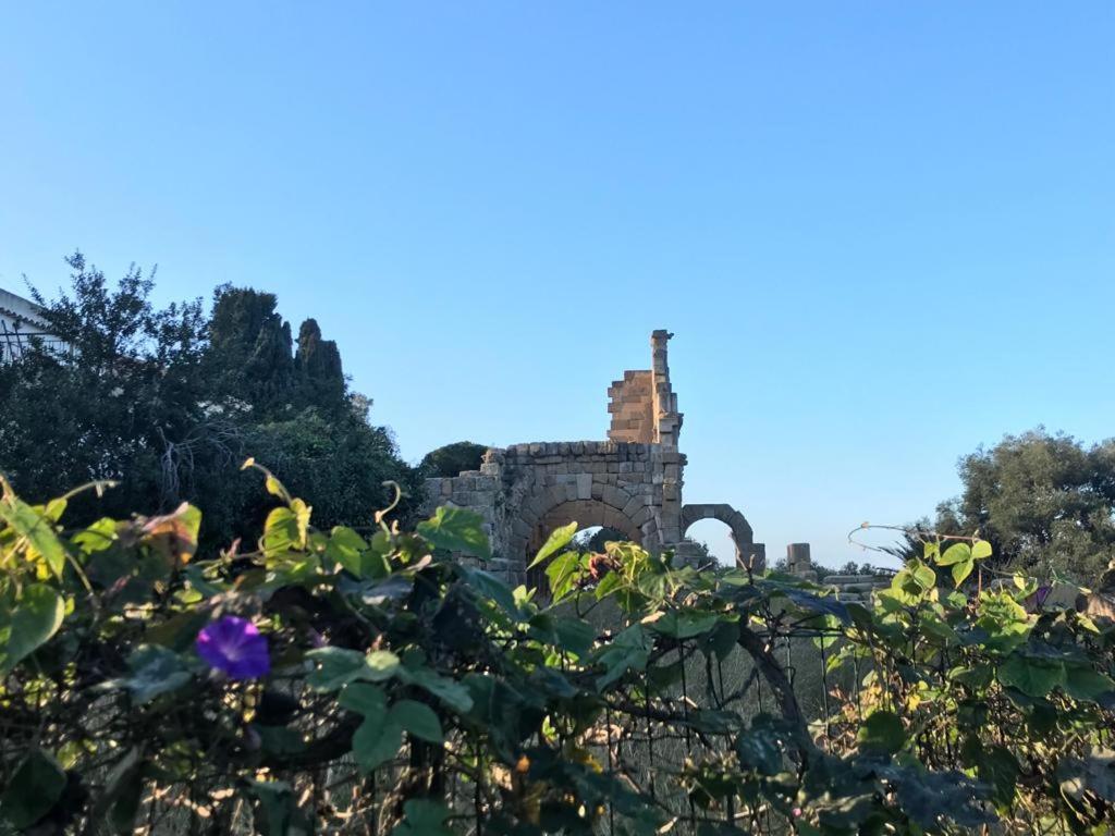 L'Ulivo In Villa Greco Tindari Exterior foto