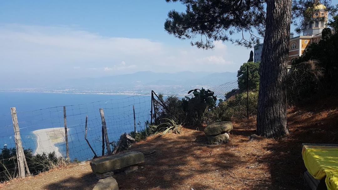 L'Ulivo In Villa Greco Tindari Exterior foto