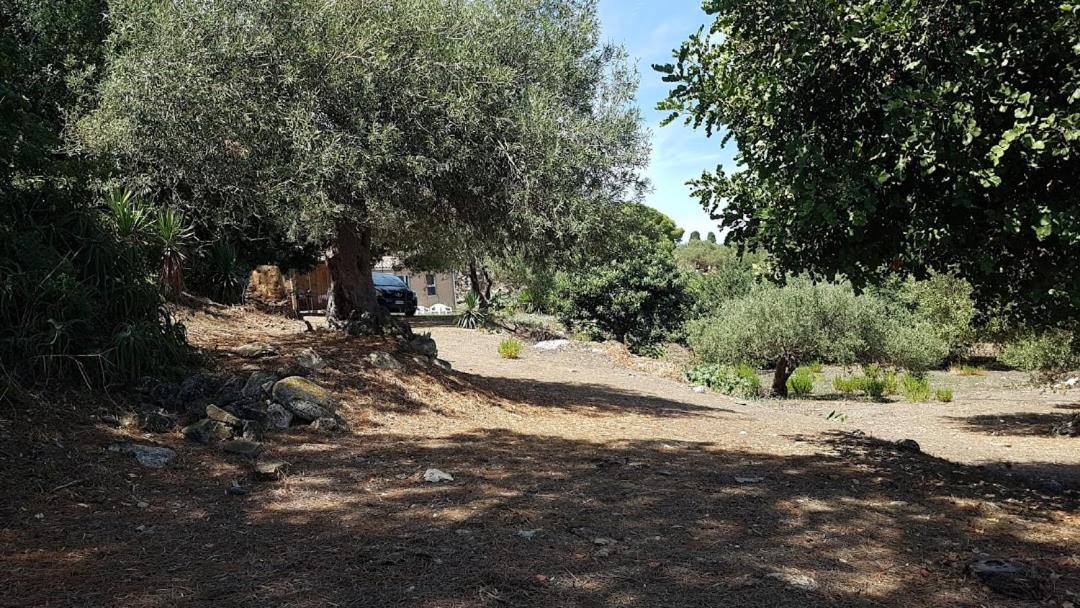 L'Ulivo In Villa Greco Tindari Exterior foto